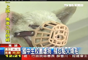 國中生校園虐狗　殘忍點火燒毛