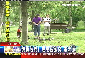 拉屎下蛋 精華地段國宅鴿群成患