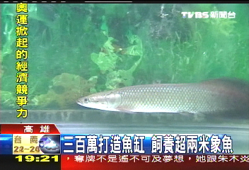 新奇！30元吃碗麵　還可看餵食秀