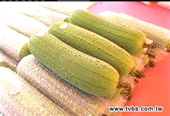 煮再久都不變黑! 新種「翠玉絲瓜」問世