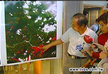 震前異象! 網友拍到「地震雲」