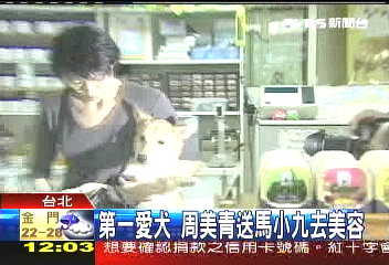 第一愛犬　周美青送馬小九去美容