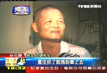〈獨家〉晶片無效？愛犬變流浪狗　遭捕抓