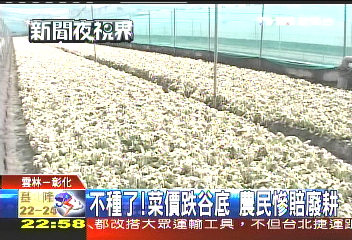 不種了！菜價跌谷底　農民慘賠廢耕