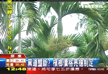 黑道亮槍殺價 檳農含淚收割
