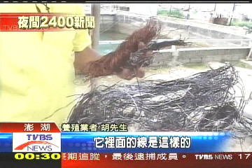 黑心馬達?紅銅變鐵線 民眾怒
