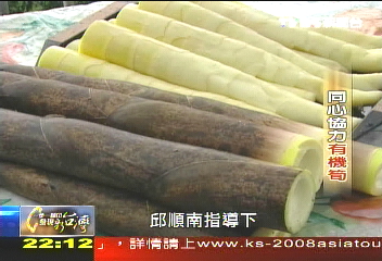 【一步一腳印】健康有機蘆筍　夫妻同心協力栽培