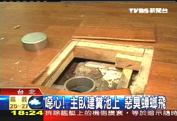 噁心!主臥建糞池上 惡臭蟑螂飛