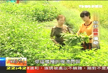 【發現台灣味】蔴薏珍奶 在地特色的創意美味