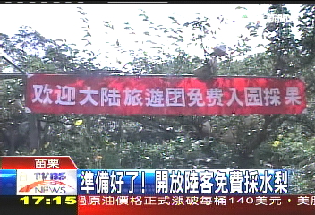 準備好了　開放陸客免費採水梨