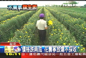 直直落！　花價創SARS以來新低點