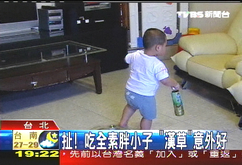 扯!吃全素胖小子 「漢操」意外好