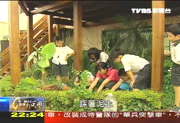 【一步一腳印】我的空中植物園　意想不到的大收穫
