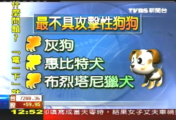 美研究指出：臘腸狗最具攻擊性