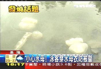 小心水母! 泳客穿水母衣防被螫