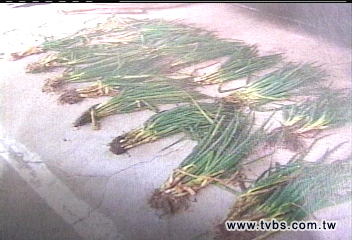 貪小便宜偷拔蔥 老婦觸法罰錢