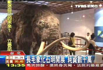 長毛象化石明開展 耗資數千萬
