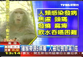 獼猴帶原B病毒 人被咬喪命率7成