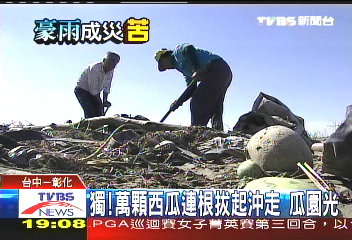 獨！萬顆西瓜連根拔起沖走　瓜園光