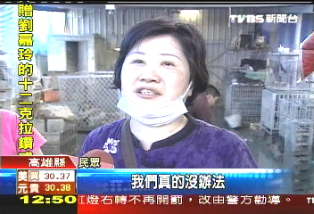 狗收容中心淹大水　21隻滅頂