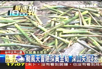 鳳凰颱風／颱風天冒險採黃金筍　深山失蹤4天