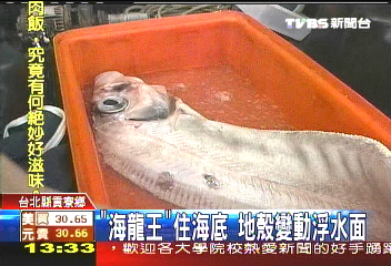 深海魚浮水面　漁民怕地震前兆