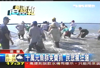 10萬元魚群免費抓 民眾瘋狂搶