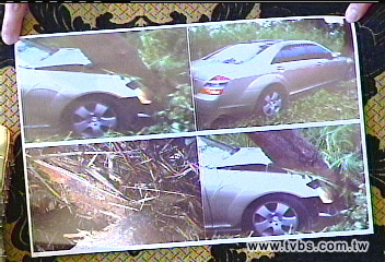 疑煞車失靈名車撞樹 女臉傷怒告