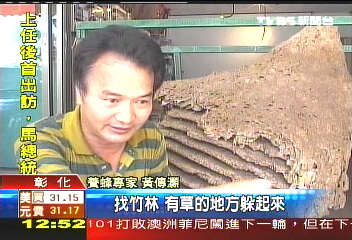 「蜂」出沒注意! 淺色衣躲下坡草叢