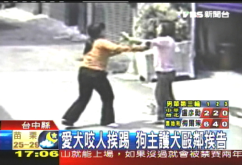 愛犬咬人挨踢　狗主護犬毆鄰挨告