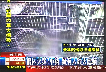籠囚火焚7小貓 疑有人縱火虐貓