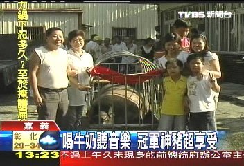 叫阮第一名! 奪冠神豬重1207斤
