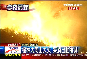 樹林火燒山　延燒十幾座籃球場