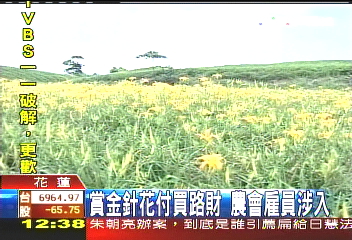 賞金針花付買路財 農會雇員涉入