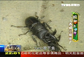 【放學去哪裡？】西螺有個小飛俠　「我要好好念書」