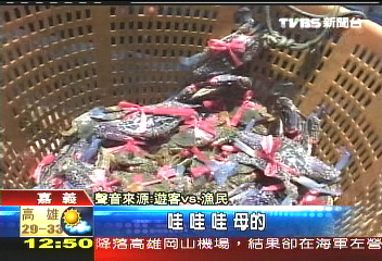 省油海上賣漁獲 活跳跳現吃最鮮