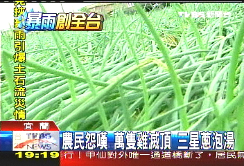 辛樂克颱／辛樂克風雨肆虐　全國農損超過3億