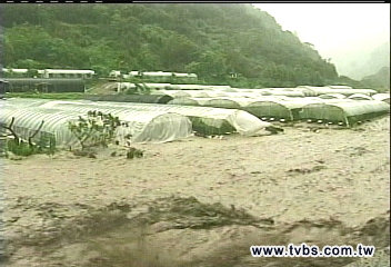 薔蜜秋颱/惡水淹村 民眾撤離苦笑:沒死就好