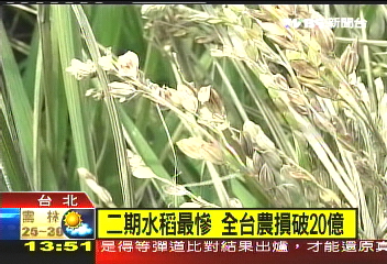 〈快訊〉二期水稻最慘　全台農損破20億