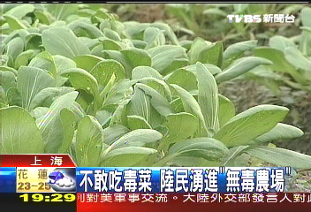 毒菜風波蔓延　有機農園意外翻紅