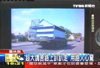 超大鴿舍路上趴趴走 用路人心驚