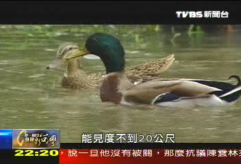 【一步一腳印】助人利他最快樂！　巴克禮公園重生記
