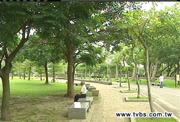 公園遍植毒花木 議員批標示不明