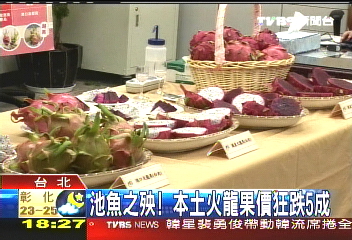 越南火龍果含農藥　本土貨6成滯銷