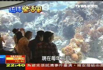 【樂活琉球】全球最大水族箱　看琉球海洋之美