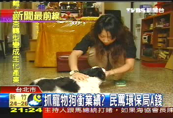 抓寵物狗衝業績？　民罵環保局A錢