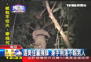 〈獨家〉選美佳麗捕蜂　身手俐落不輸男人