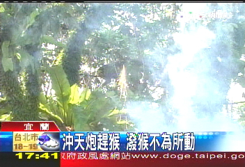 不給吃就搗蛋！　獼猴跑進民宅撒野