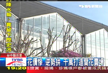 花價慘！逆勢拚　千萬打造蘭花賣場