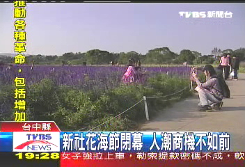 新社花海節閉幕　人潮商機不如前